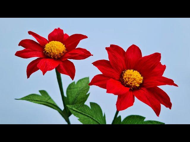 How To Make Mexican Sunflower Weed Paper Flower / Paper Flower / Góc nhỏ Handmade