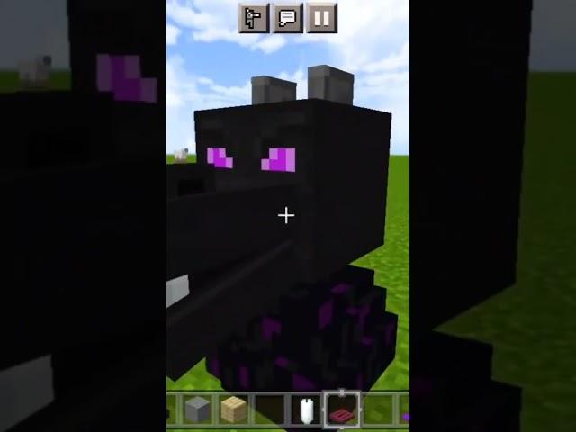 Wrost Teeth Of Dragon #indrushi #indpratik #minecraft #viral #shorts