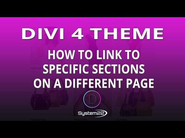 Divi 4 How To Link To Specific Sections On A Different Page 