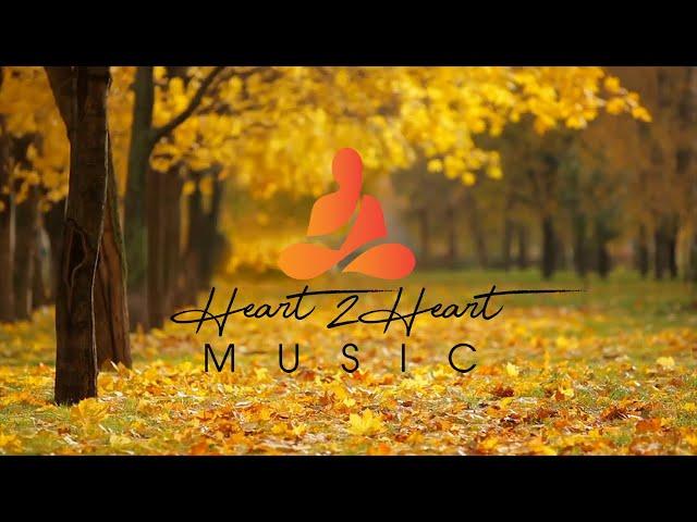 Relaxing Piano Music with Bird Sounds -NO ADS- 17