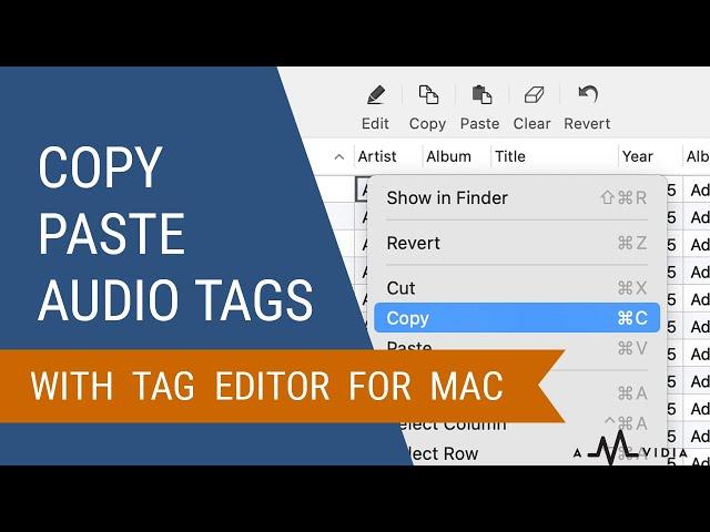 Copy - Paste Audio Tags on Mac with Tag Editor by Amvidia