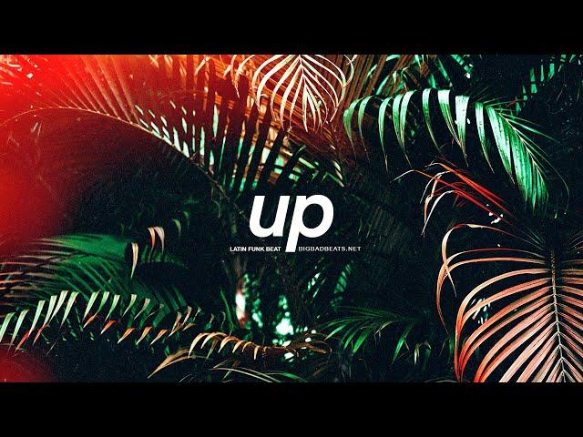 (FREE) Jason Derulo x Latin Funk Pop Type Beat - "Up" | Doja Cat Instrumental