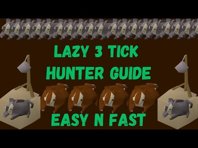 UPDATED EASY 3 TICK HUNTER GUIDE for lazy people