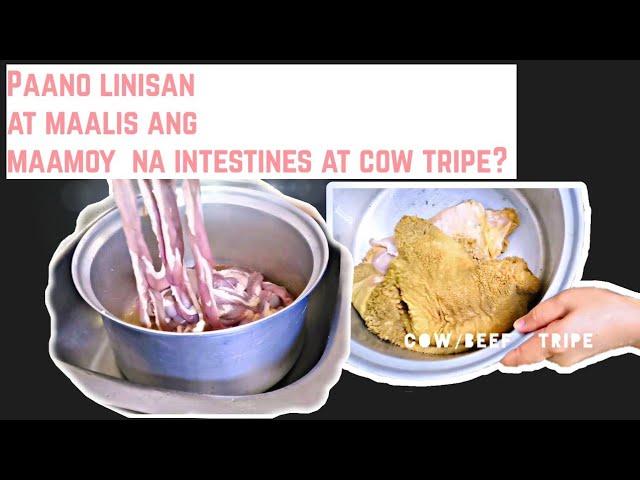 HOW TO CLEAN INTESTINES AND COW TRIPE?/ HOW TO REMOVE THE UNPLEASANT SMELL?