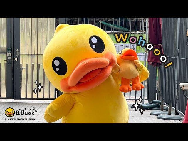 領養小B.Duck 過程足本版 ｜The adoption journey of little B.Duck