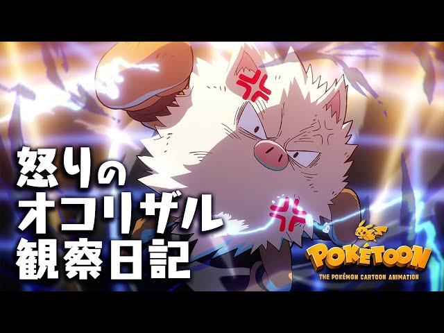 【公式】ポケモンアニメ「怒りのオコリザル観察日記」【POKÉTOON】