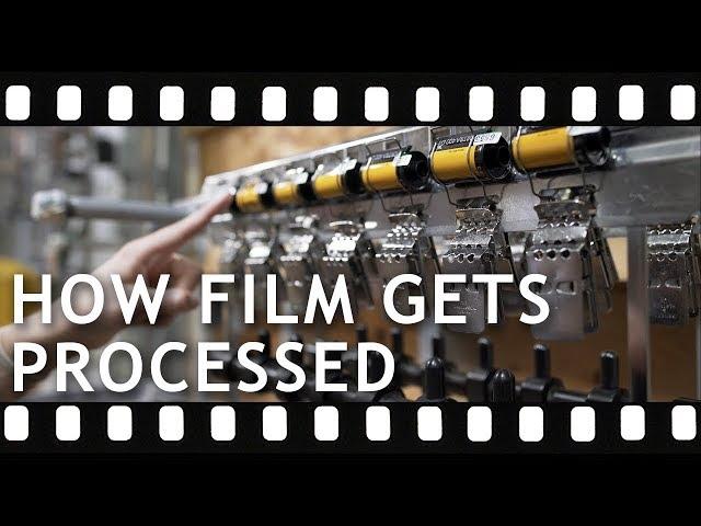 How Does Film Get Processed?