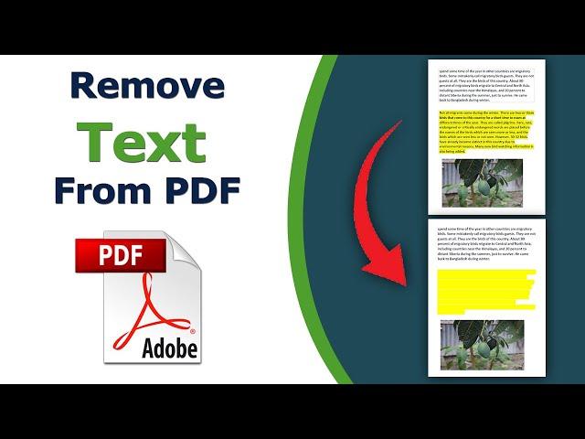 How to Remove Text From a PDF Document using adobe acrobat pro dc