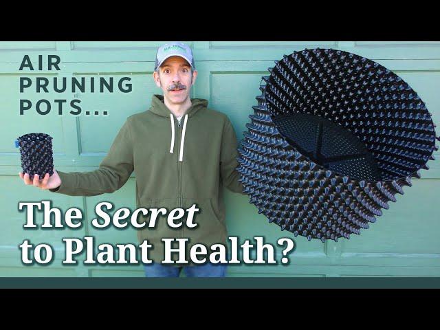 Air Pruning Plant Roots! Superoots Air-Pot vs Ultra Oxy Air Pruning Pots: Review & Tutorial + Hack!