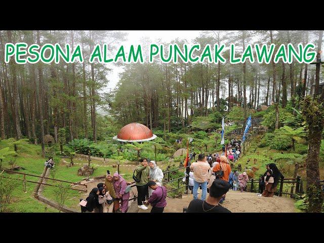 PUNCAK LAWANG SUMATERA BARAT - SPOT PARALAYANG TERBAIK DI ASIA TENGGARA