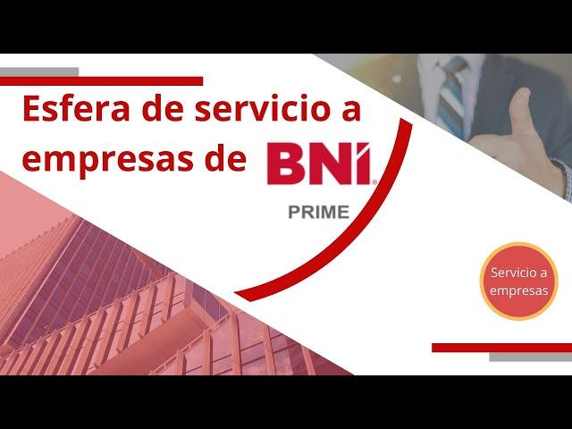 Esfera de servicios a empresas de BNI