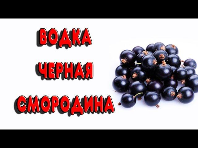 Черносмородиновая водка. Шикарный результат на медной  колпачковой колонне Шнапсер ХО4-М