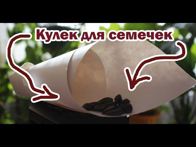 Как сделать КУЛЁК для семечек