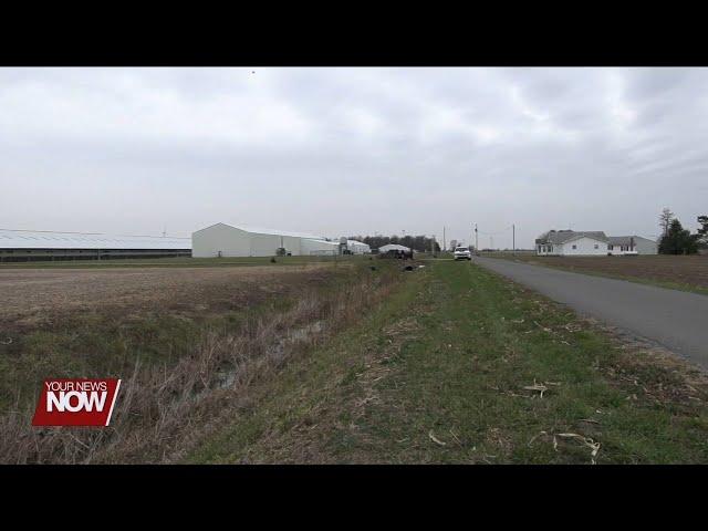 Animal Liberation Front claims responsibility for mink farm vandalization in Van Wert