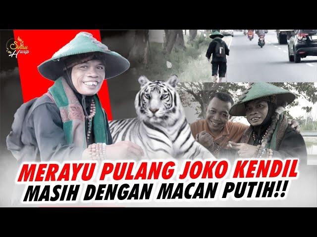 MERAYU JOKO KENDIL ️️”PULANG ya KANG, BAPAKMU KANGEN ️️MASIH SETIA ditemani MACAN PUTIH ️