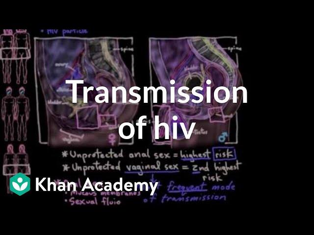 Transmission of HIV | Infectious diseases | NCLEX-RN | Khan Academy