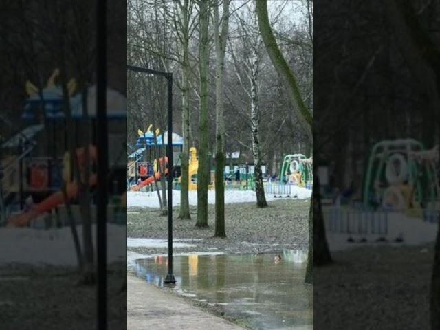 В Долгопрудном благоустроят Центральный парк! К осени этого года он будет обновлён!