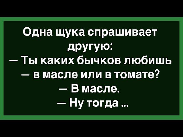 Как У Жены Было Две Новости Для Мужа! Сборник Смешных Анекдотов! Юмор! Позитив!