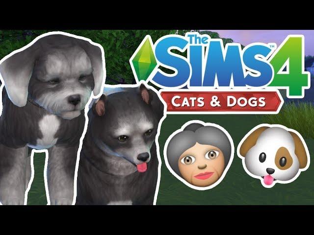 Elderly Pets | The Sims 4 YouTuber Pets | Episode 10