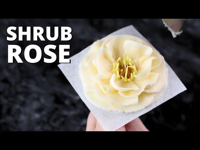 How to pipe buttercream shrub rose  [ Cake Decorating For Beginners ]