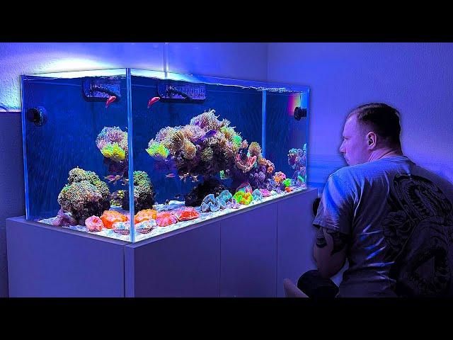 Awesome LPS - Reef Tank from Ümit! - Reef Relax