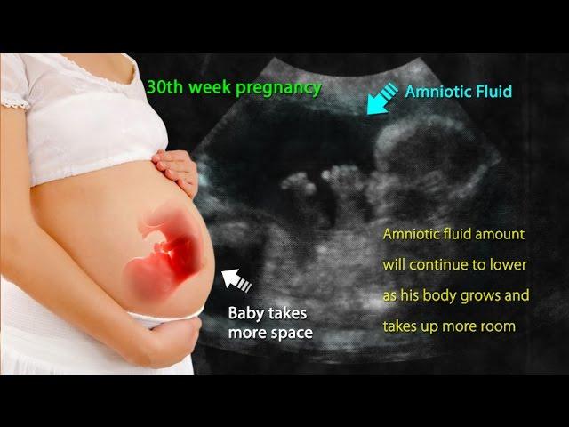 30 Weeks Pregnant: Know the Fetal Changes in 30th Week Pregnancy