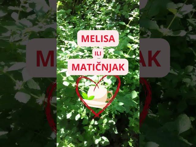 melisa ili matičnjak ljek za dušu #shorts