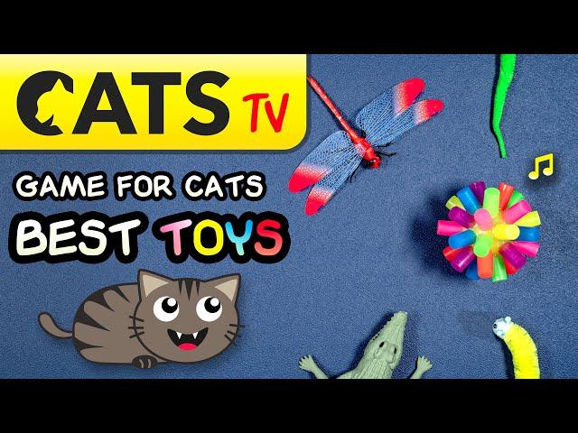 GAME FOR CATS - Best TOYS Compilation   Bells 3D sounds  4K  60FPS [Cats TV]