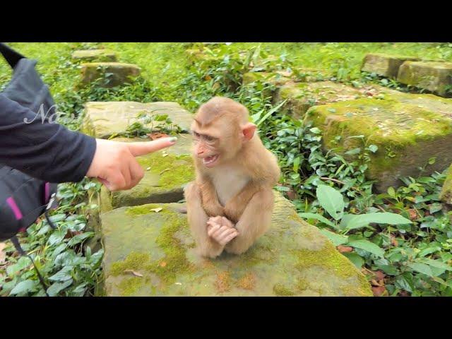 Orphan Franka cry shaking body holding Mom not allow her go home, Except mom give him a box of milk