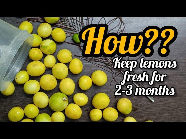 HOW to STORE LEMONS in Fridge for Long Month After Month (LEMON Preservation Tips & Tricks)