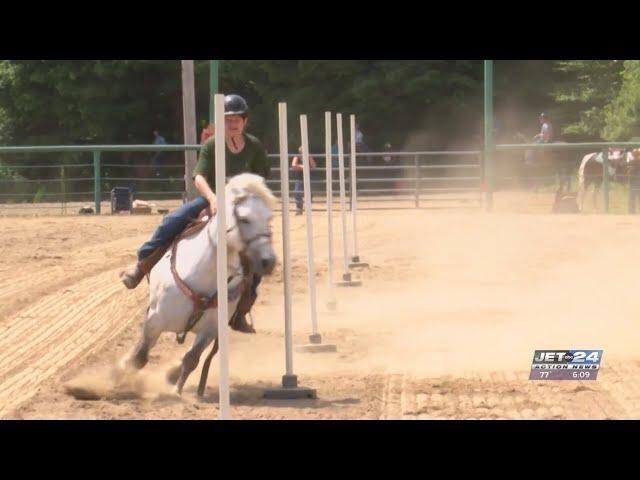 Local horse expert hosts event to help people ease their way into competitions