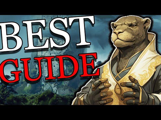 The BEST Guide for Druid | Dark and Darker