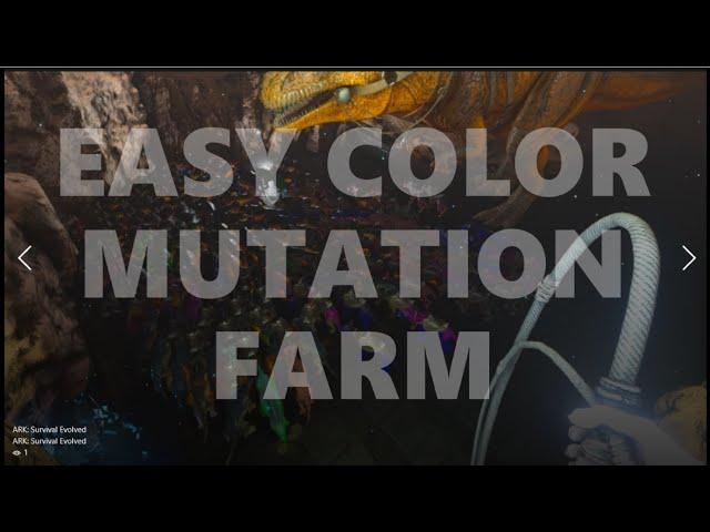 HOW TO MASTER COLOR MUTATIONS FOR GESTATION BREEDING (PS4/XBOX/PC) ARK BREEDING TECHNIQUE