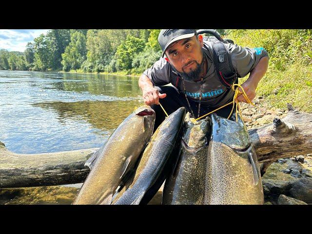 Increibles Peleas Con Monstruos De Río , Pesca Y Cocina De Salmon