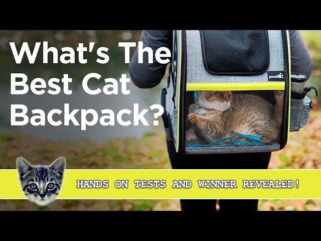 The Best Cat Backpack - We Tested Our Top 3 And Pick The Winner!