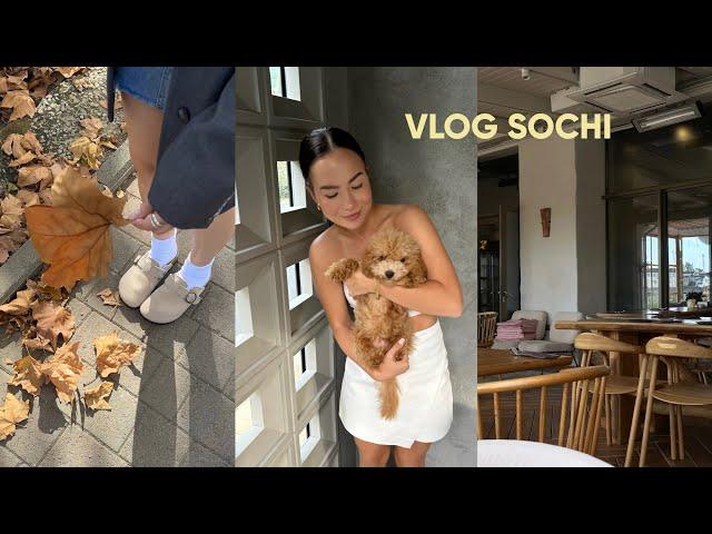 VLOG: жизнь в Сочи, женские встречи, шоппинг