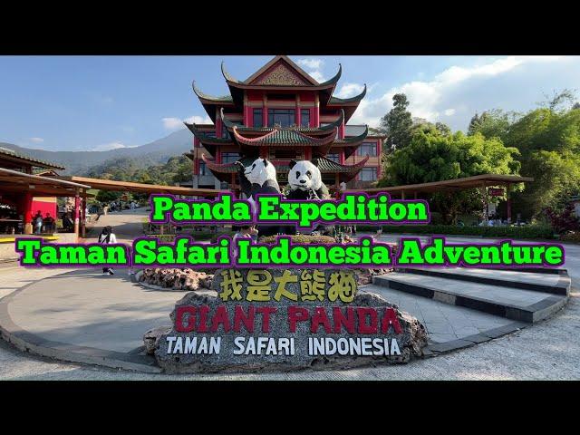 Panda Expedition: Taman Safari Indonesia Adventure - Moonnix Walks