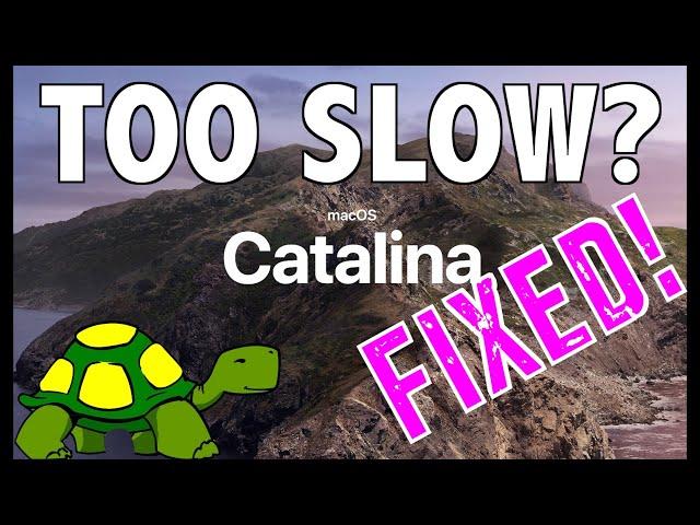 SLOW Mac? - How To Remove 32 Bit Apps from CATALINA