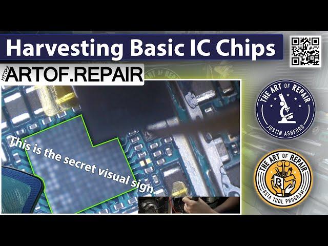 Quick & Easy | Basic IC Removal Technique & Tips | Harvest Chips with Ease | Small - Med Sized ICs