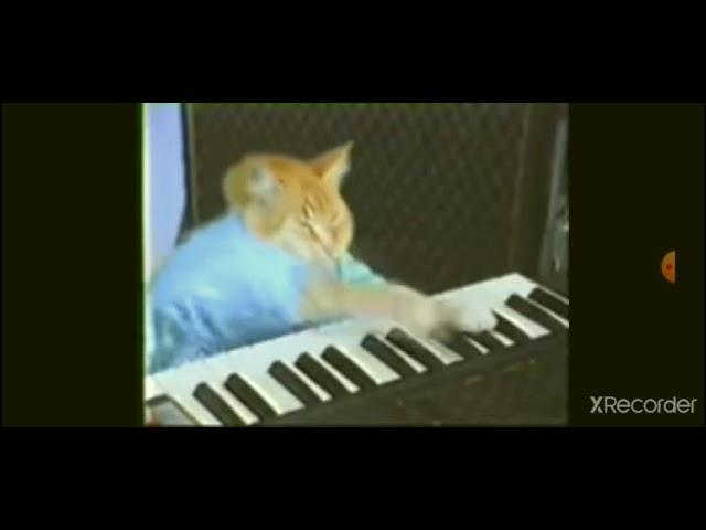 Keyboard Cat in Kalimba