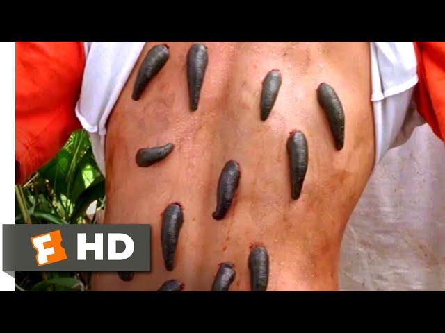 Anacondas 2 (2004) - Bloodsucking Leeches Scene (2/10) | Movieclips