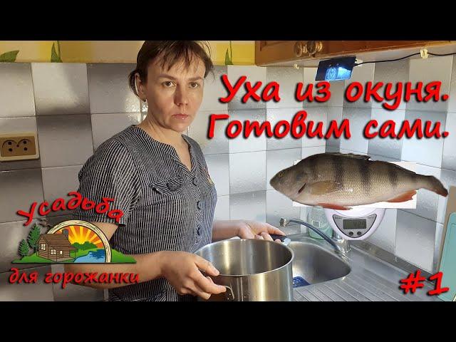 Уха из окуня. Готовим сами. #1