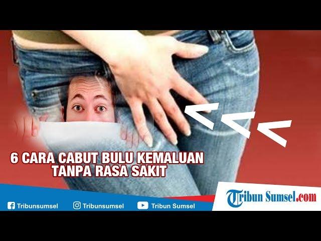 TRIBUN SUMSEL  Inilah 6 Cara Cabut Bulu Kemaluan Tanpa Rasa Sakit