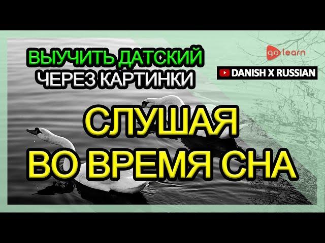 Выучить датский через картинки |датский словарь Слушая во время сна | Golearn