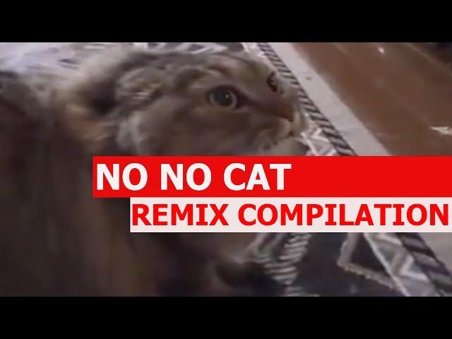 No No No Cat - REMIX COMPILATION