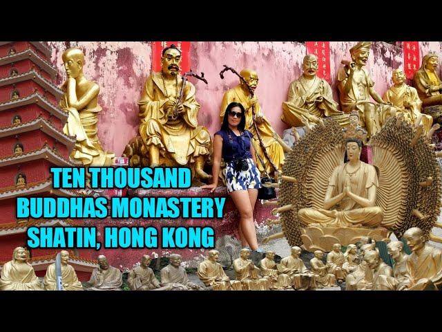 TEN THOUSAND BUDDHAS MONASTERY  | SHATIN HONG HONG (How to get there, historic attractions, views)