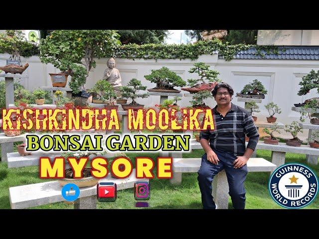 Bonsai Garden ll Tourist Places In Mysore ll Kishkindha Mulika ll Youtube Videos ll Shukavana