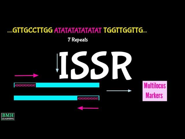 ISSR | Inter Simple Sequence Repeat | ISSR Markers | ISSR PCR |