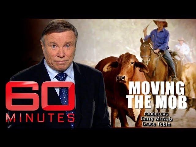 Moving the mob (2014) - The greatest cattle drive in 100 years | 60 Minutes Australia