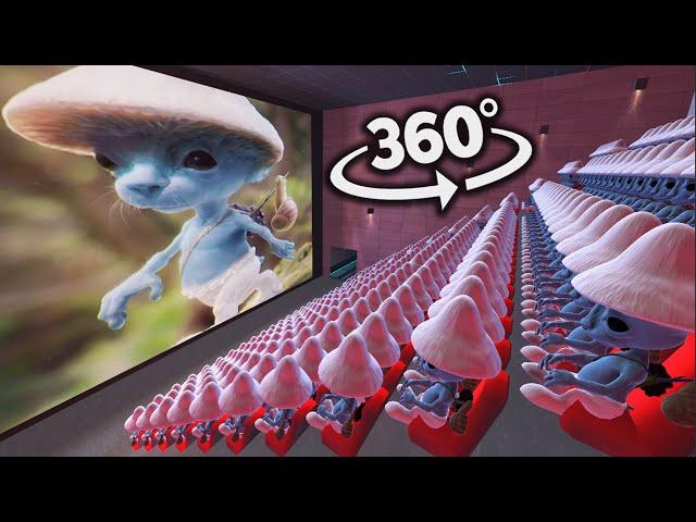 Smurf Cat 360° - CINEMA HALL | VR/360° Experience | We Live, We Love, We Lie